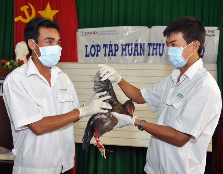 USAID helps combat avian and pandemic influenza in Vietnam.