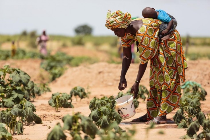 SAID Provides Food Assistance to Vulnerable Senegal Communities