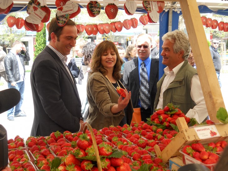 USAID Director and Minister of Agriculture tour the strawberry booths and talk to farmers 