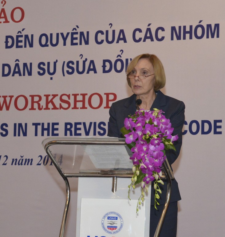 USAID’s Acting Assistant to the Administrator Anne Aarnes speaks at the workshop.