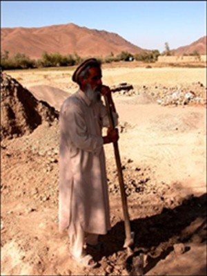 Mohammed Shah, one of five area farmers invested in a shallow well in Logar, pauses to chat while harvesting onions.