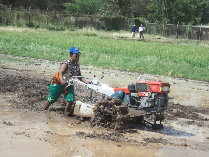 Technology and good agricultural practices are improving seed yields in Tanzania