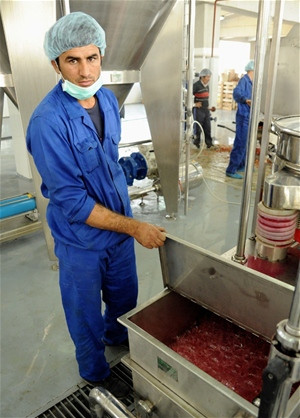 In the OMAID Bahar juice factory, a worker shows how pomegranates are turned into juice concentrate.