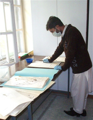 A student intern at Kabul University carefully cleans and documents plant specimens.