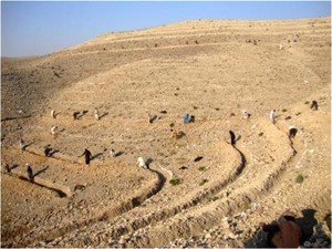 Villagers build a terracing system that will slow water runoff, improve canal conditions, and protect farms in the lower watersh