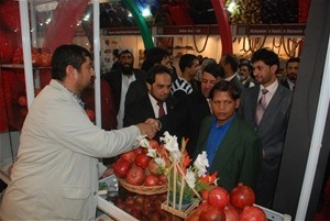 Afghanistan’s pomegranates are on display at a trade show in India in 2010.