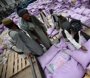 Farmer beneficiaries at a USAID/AVIPA Plus voucher distribution center in Nad-e Ali district load sacks of fertilizers onto the 