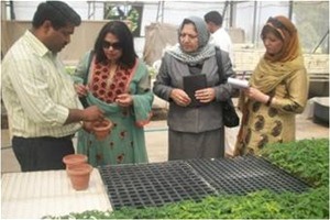 Afghan Women’s Business Council managers Mahooba Waizi and Khubera Zaifi are shown modern vegetable propagation methods at the I