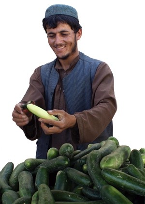 “You can tell just by looking that these are better cucumbers. But the real difference is the taste. They’re becoming very popul