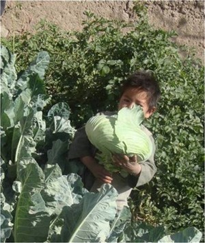 Young boy shows the fruits of the kitchen garden that will provide a variety of nutritious vegetables.