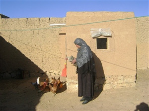 Latifa is USAID poultry beneficiary, Zargaran Village in Bamyan Province.