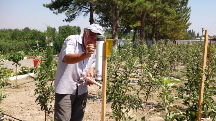 Farmers learn the intensive orchard method to increase crop yield and quality.