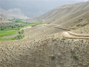 Refurbished roads across Ghor Province have re-established access to markets and services.
