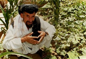Ahmad Jan cultivates a six-hectare plot of land in Kandahar Province with his 11 children and another 20 family members.