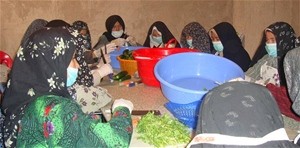 Women from the Saffron Makers Association of Jebrayel prepare pickles for processing.