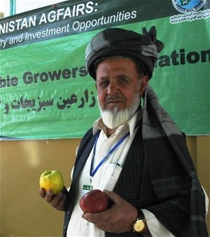 USAID helped Salam Jan, president of the Gardez Vegetable Association, by designing a logo and producing special cartons for tra