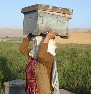 A trainee carries the beehive she received with at the end of the training.