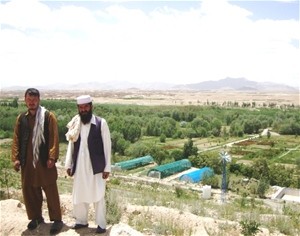 The Executive Representative of the Ghazni Agricultural Department in Jungal Bagh stands with an assistant on a hill