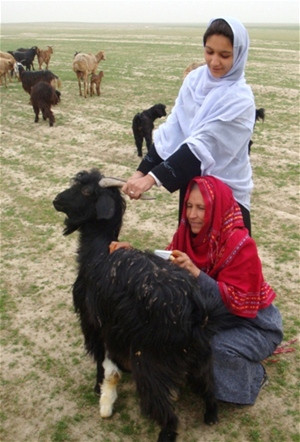 Women in Kunduz Province learn how to use combs to harvest valuable cashmere from their goats.