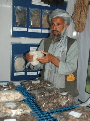 Veterinarian Janan displays cashmere collected from Kandahar province at the Kabul International Fresh Fruit and Vegetable AgFai