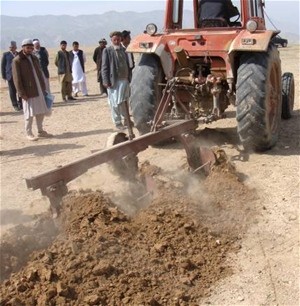 A tractor plows land in Balkh’s Dihdadi district to ensure that wild pistachio seedlings have proper spacing and irrigation.