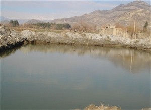 Ali Jan’s fish farm holds 2,500 fish and provides him with an income of $200 per month. All of his school-aged children are now 