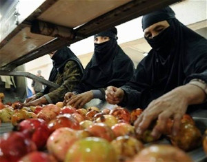Afghan women sort pomegranates before they are processed into juice concentrate. Afghanistan’s new facility will create 200 jobs