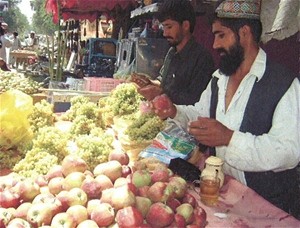Sayed Mahmmad and his brother prepare their produce for sale.