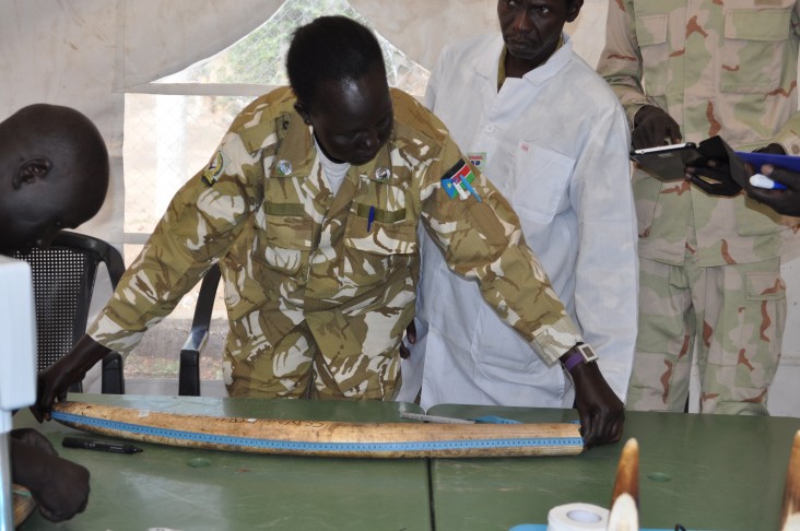 Ministry of Wildlife officials work with USAID partners to catalog and test confiscated elephant tusks.