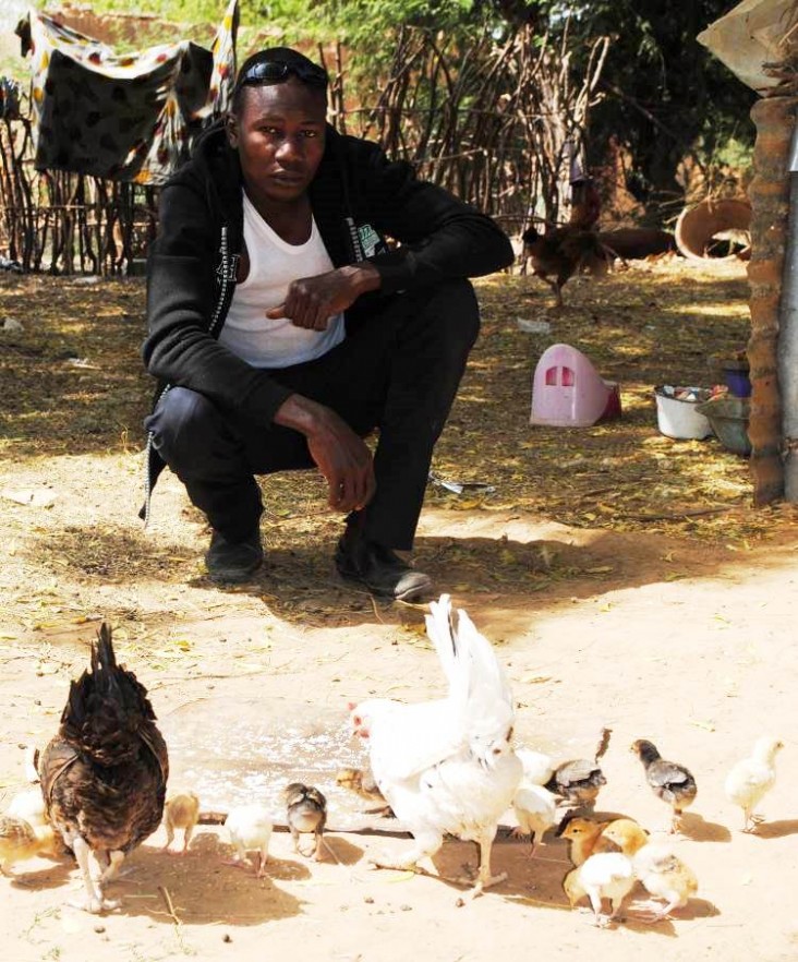 Harouna Kobor, chicken entrepreneur, wants to expand his business to sheep.