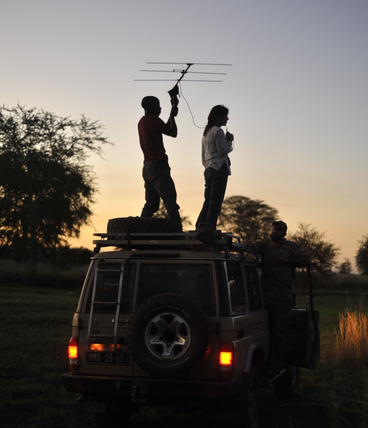 Fernandinho Mequicene scans the Gorongosa landscape looking for a radio-collared lion with scientist, Paola Bouley