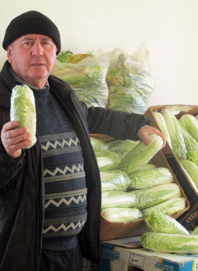 Анатолій Меркотян, фермер з Херсонщини торгує своєю продукцією на львівському оптовому ринку «Шувар».
