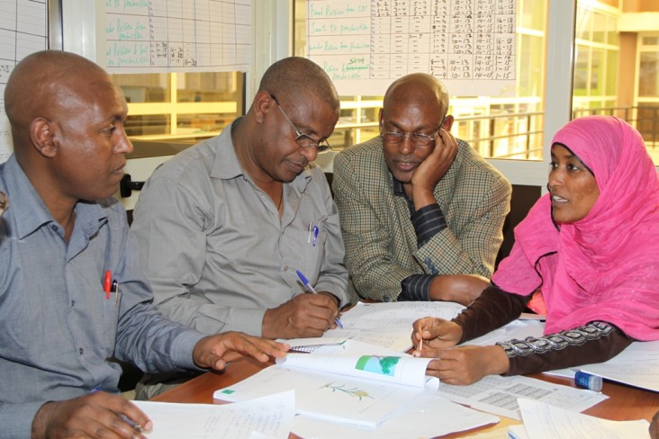 Four members of the Amharic team review lessons that are near completion.