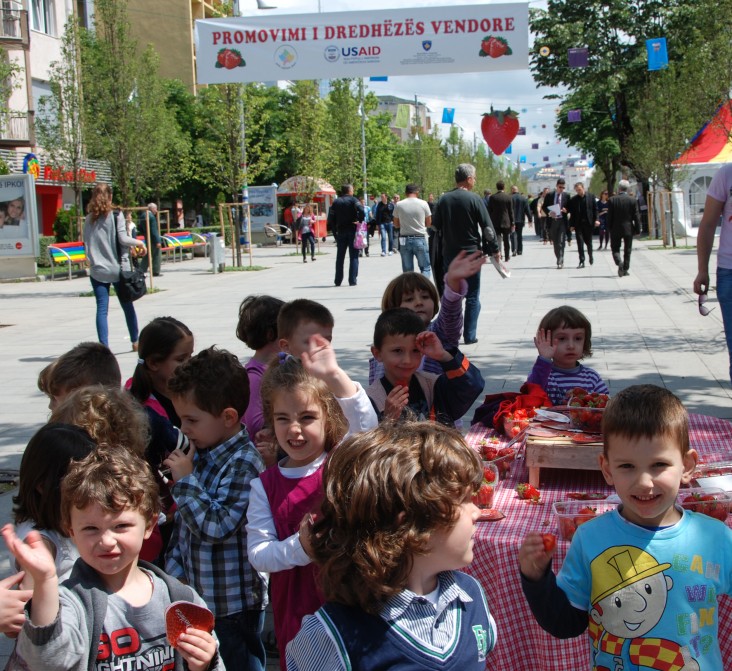 Promocija jagoda je bila pun pogodak kod školske dece iz  svih delova Prištine, koja su posetila događaj.