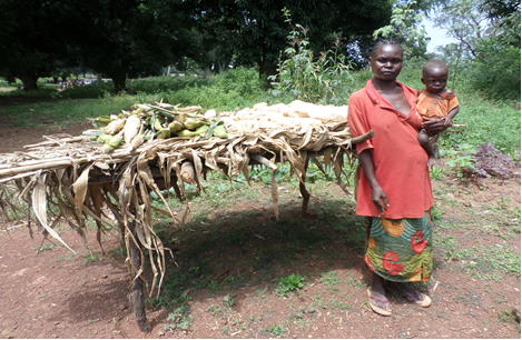 Odette Kofedanga with her maize harvest