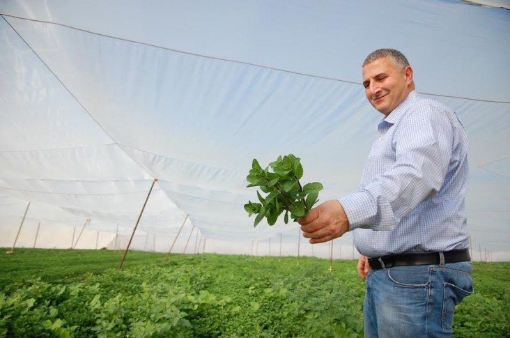 Palestinian herb farmer Imad Nussiebeh 