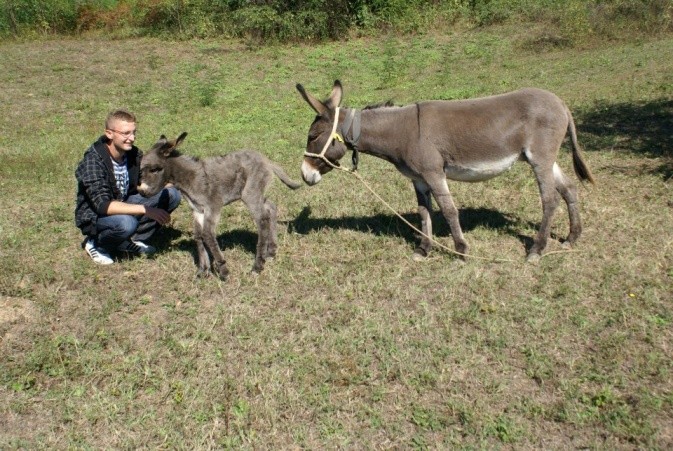 Alen Jusupovic, 23, and two of the donkeys (Ceca and Cica) on his farm in Zavidovici.
