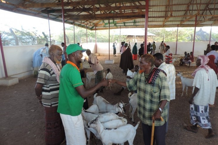 Somali men shake hands at a rehabilitated livestock market in Luuq. 