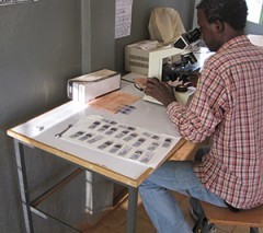 A malaria microscopist examines blood smears in a health center in Oromia Region.