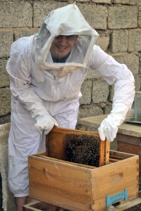 Kirkuk beekeeper Mostafa Arouan Medhat