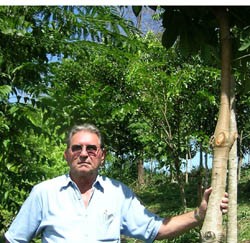 Anthenor Pianna proudly shows one of his Atlantic Forest trees in Brazil&rsquo;s state of Espirito Santo.