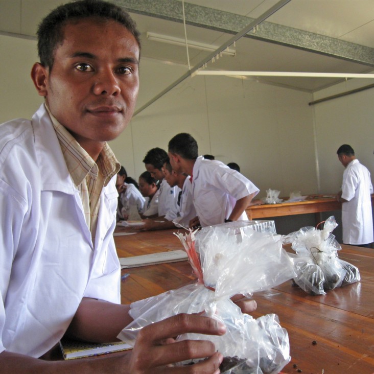 Gregorio Colo from Oecusse District learns practical skills through USAID's new agribusiness curriculum.