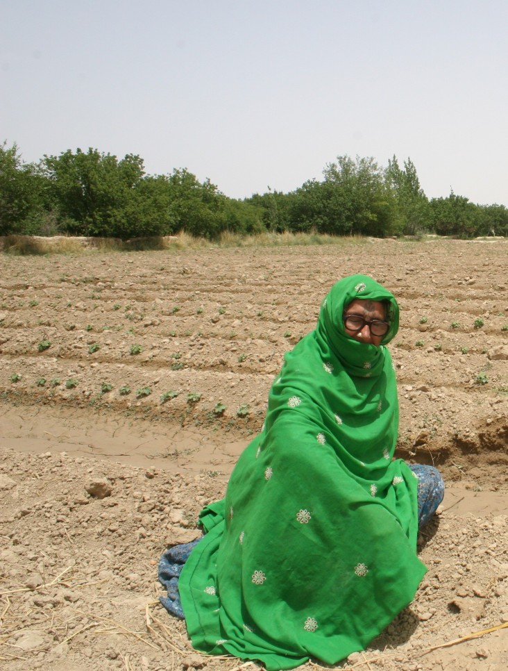 A Pakistani grandmother working in her garden