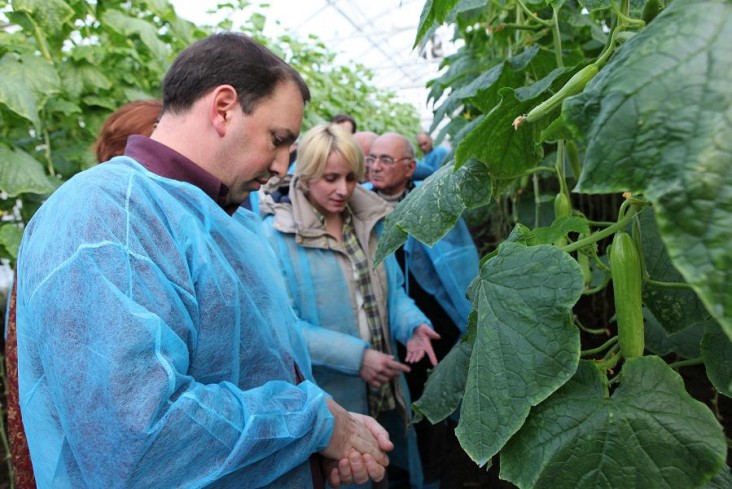 USAID’s Economic Prosperity Initiative (EPI) Project helped Georgian vegetable growers to acquire necessary skills to operate gr
