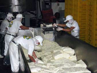 Employees process cheese at Agroindustrias San Julian plant.