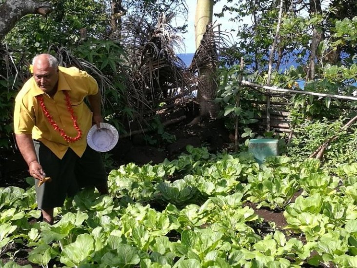 Kitchen Gardens Flourish in Samoa