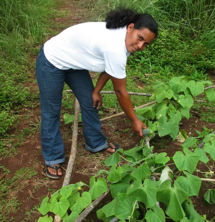 María Leisa Rodríguez manages the bountiful harvests of her farm. 