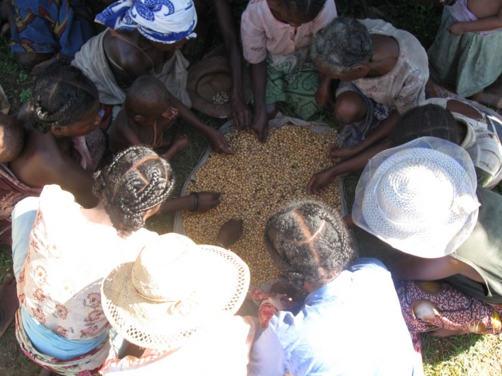 Women gather around seeds. Credit: USAID