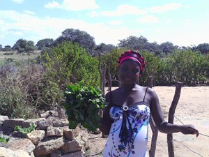 Sethule Mpofu holding fresh spinach that her family sells for 50 Rand per bunch. 