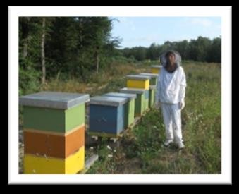Zorica Mekic of Sekovici learned beekeeping through USAID’s “Women’s Empowerment Through Farming” Project.